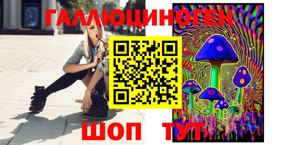 Псилоцибиновые грибы мицелий Новочебоксарск