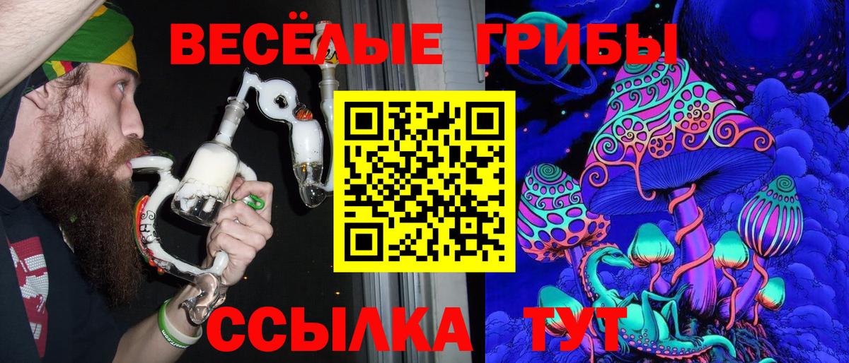 Новочебоксарск  Галлюциногенные грибы ЛСД  Вход с VPN 